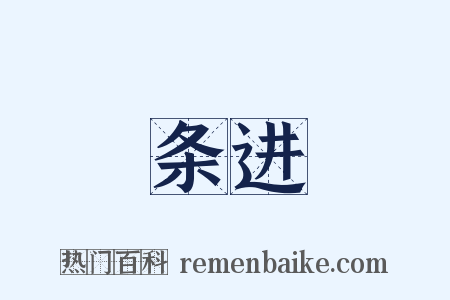 条进是什么意思的图片
